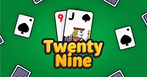 Twenty Nine Card Image