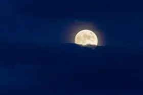 calm-night_280x280.webp