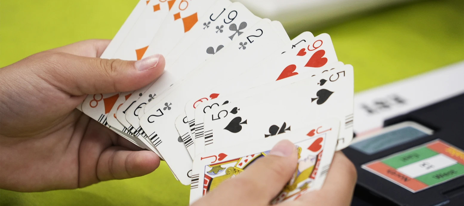 Bridge Beginner's Guide: How to Play Bridge