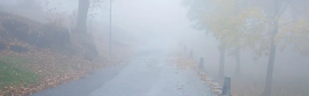 A photograph of a foggy road