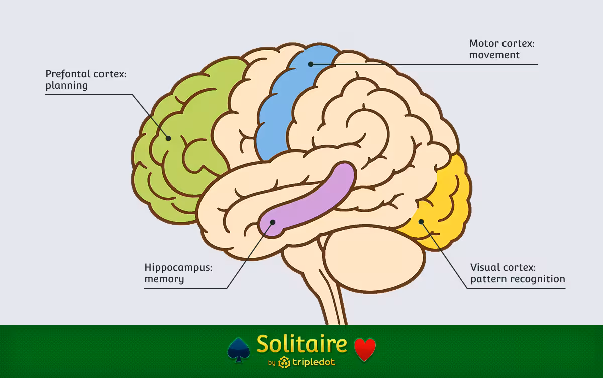 solitaire-brain-benefits.avif